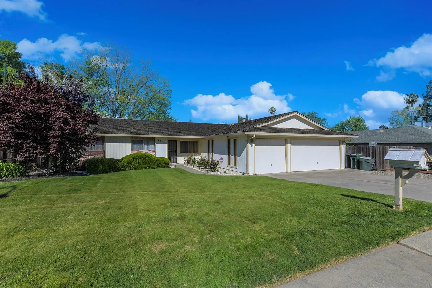 6966 Pampas Way photo 1