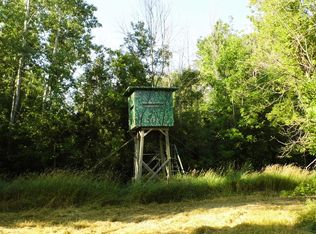 3300 S Brown Rd, Applegate, MI 48401