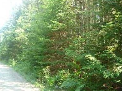 3rd image of 0 Stoney Creek Drive