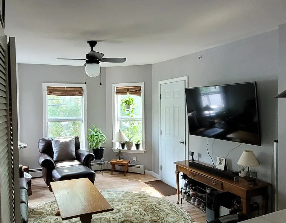 Living room - Front door