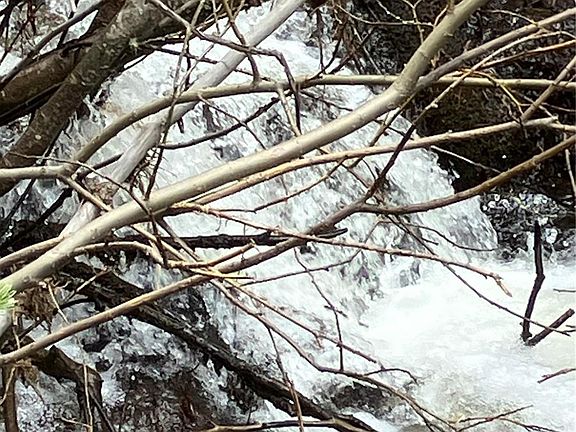 3rd image of FS 409.1 (aka Fairburn Mtn) Road