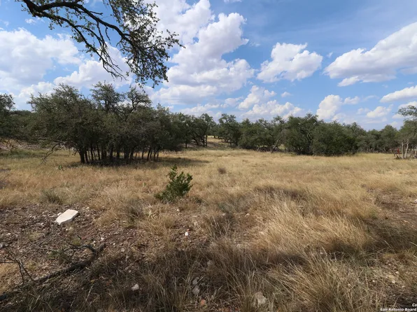 97 Nott Branch Rd LOT 30, Harper, TX 78631