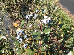 5424 Oak Cir, Sebring, FL 33875