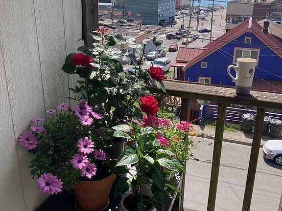 Deck views