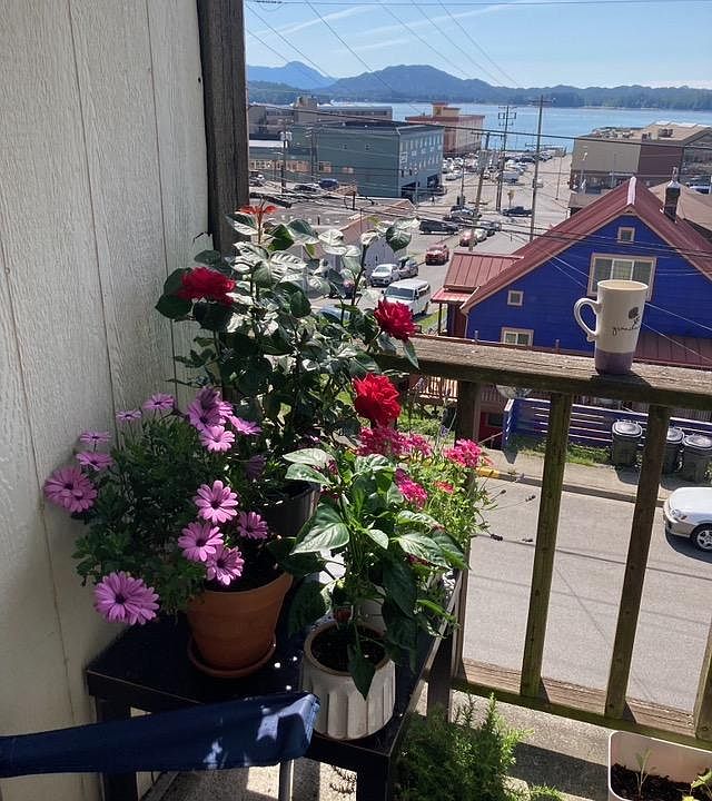 Deck views