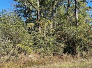 26042 Rainbow Dr, Perkinston, MS 39573