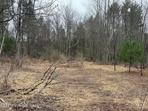 3rd image of Creekview Rd