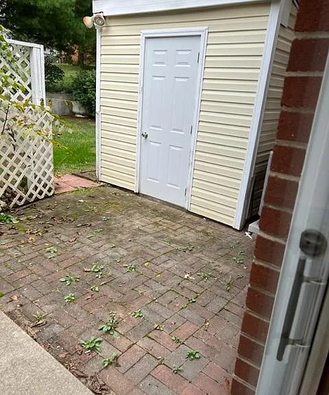Back Patio
