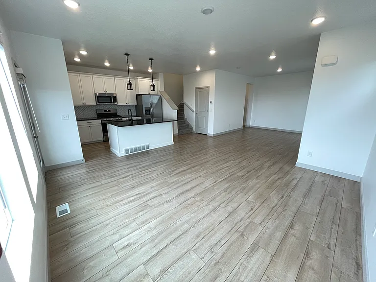Kitchen/Living Roon