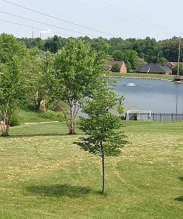 Gorgeous Lake Views
