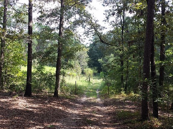 5th image of 381 County Road 89
