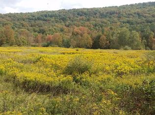 279 Lumber Rd, Deposit, NY 13754