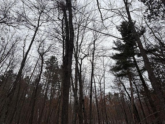 4th image of X County Rd #H