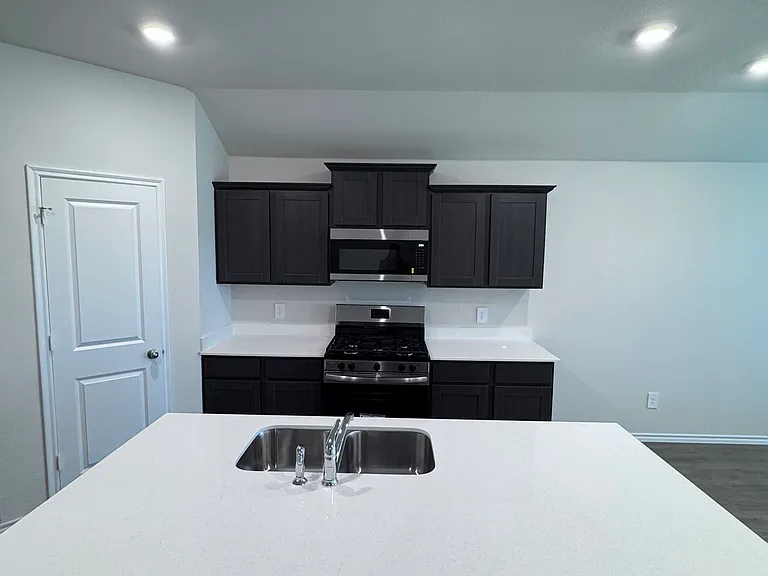 4113 Limestone Bluff Dr — Photo 5