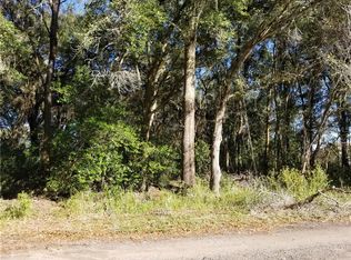 11648 Bessie Dix Rd, Seffner, FL 33584
