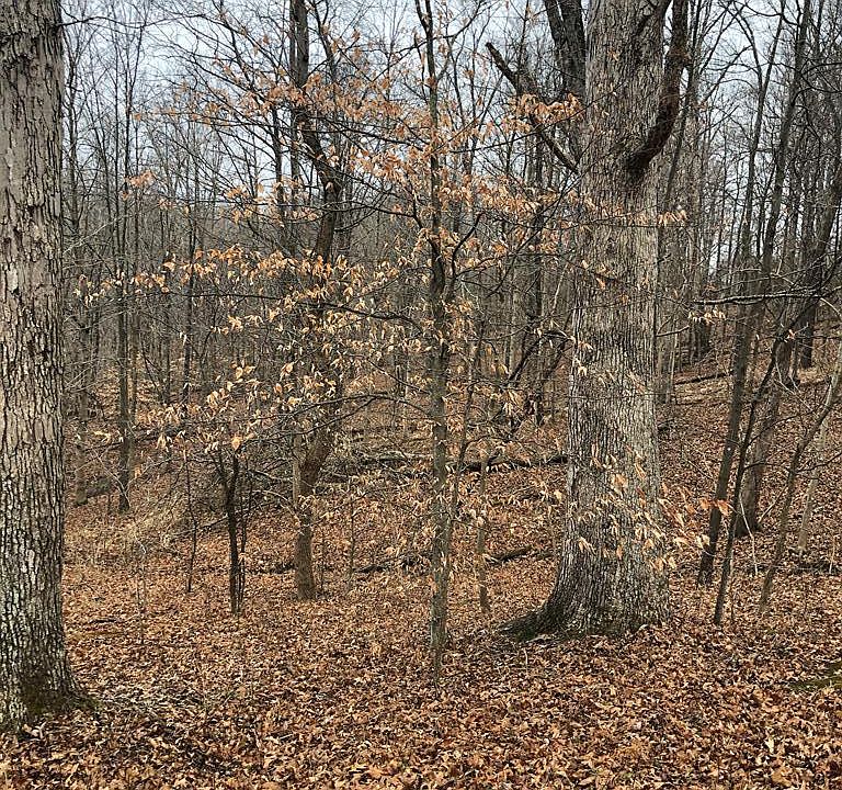 1st image of 60 Scenic Hilltop Ln