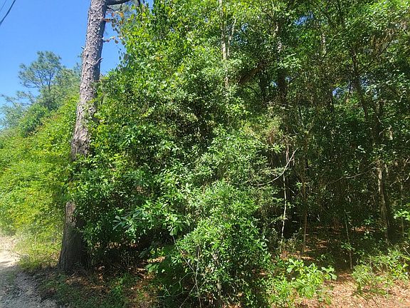 2nd image of Paul Rd