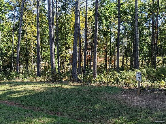 Land lot 74 view left view!