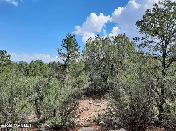 LOT 287 Forest Ln, Seligman, AZ 86337