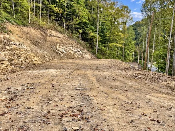 450 Peter Fork Rd, Mc Carr, KY 41544