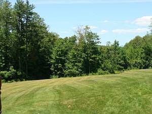 Wood and Mountain View