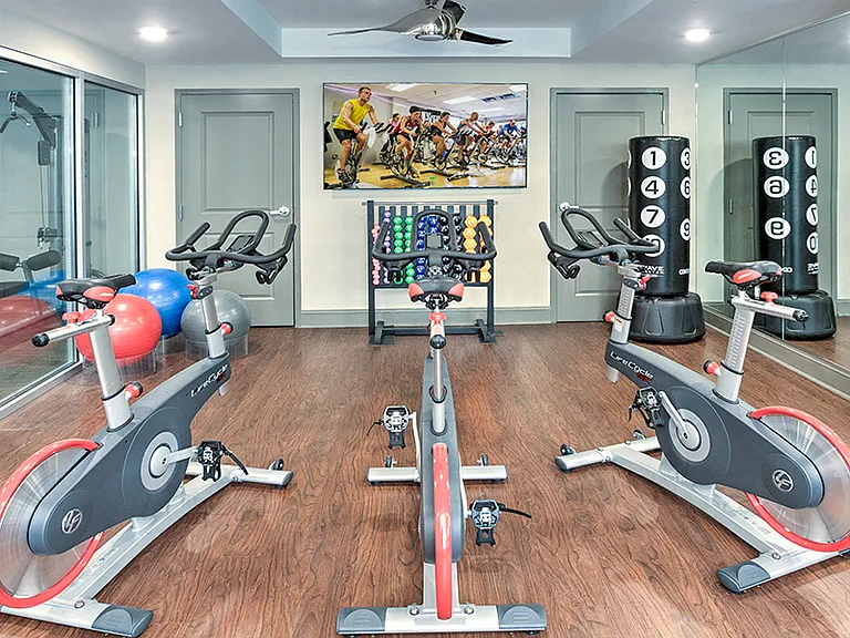 Plus separate yoga/exercise studio with virtual trainer and spin bikes