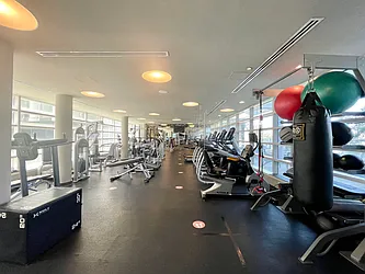 Rented by YouYork Management LLC