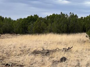 8754 CLARK Road #-, Show Low, AZ 85901