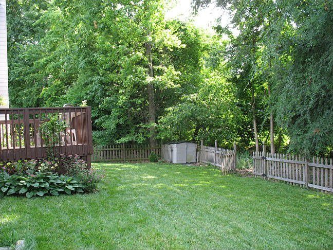 Fenced Backyard