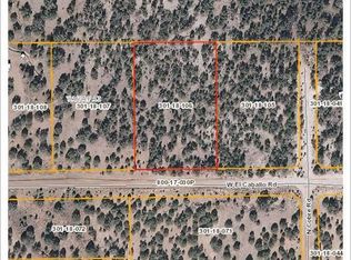 33618 W El Caballo Rd, Seligman, AZ 86337