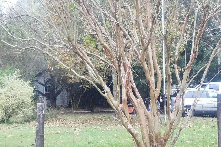 1st image of 4389 SW 102nd Ave