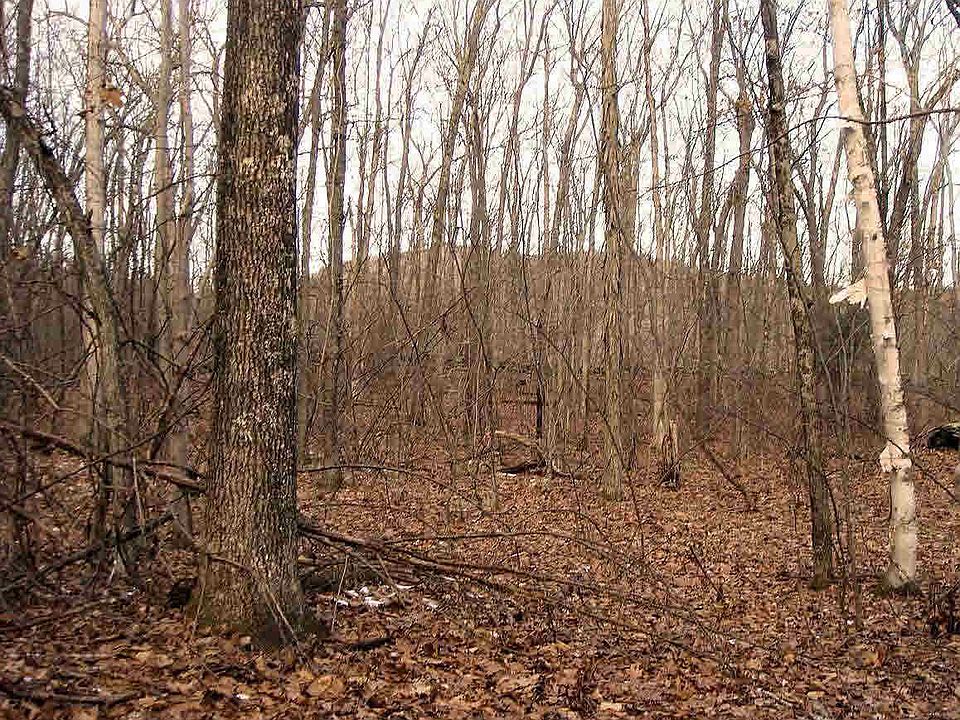 2nd image of Dickman Farm Rd