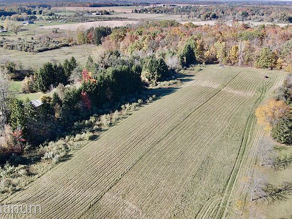 3rd image of 5290 McIntyre Rd