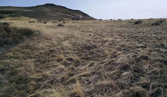 5th image of Nhn Echo Mountain