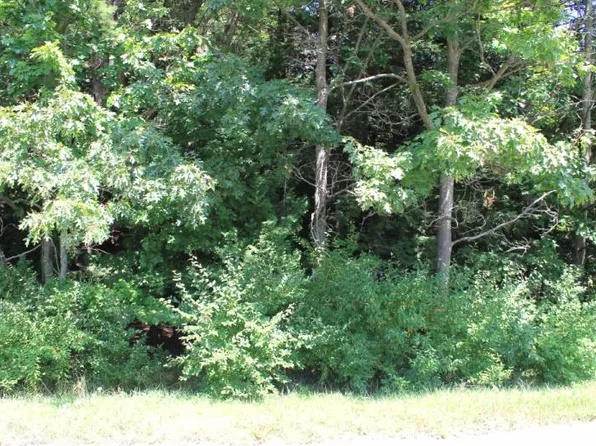 E Clark Rd, Harrisville, MI 48740