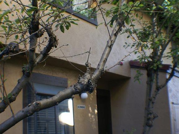 5th image of 6395 Joaquin Murieta Ave APT G
