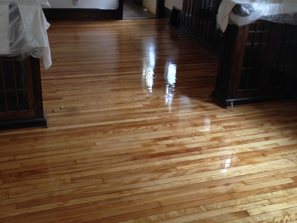 Beautiful birch hardwood