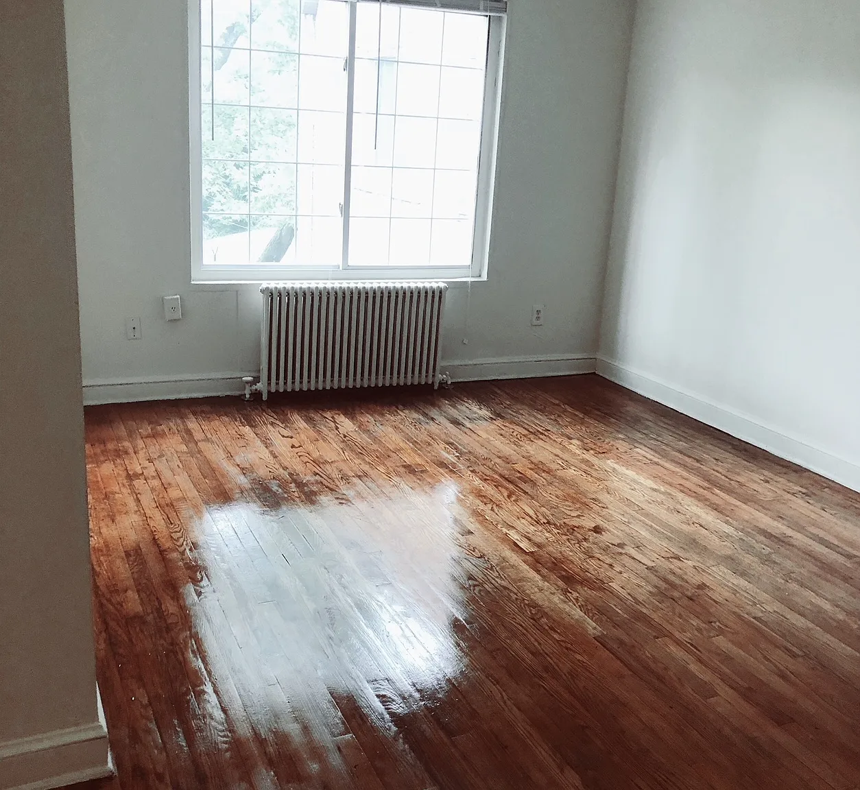3 bed, 900 sqft, $1,695 — Photo 4