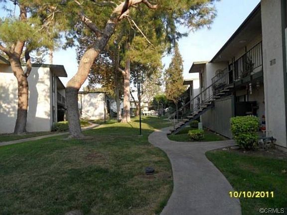 LR View of Mtns & Trees