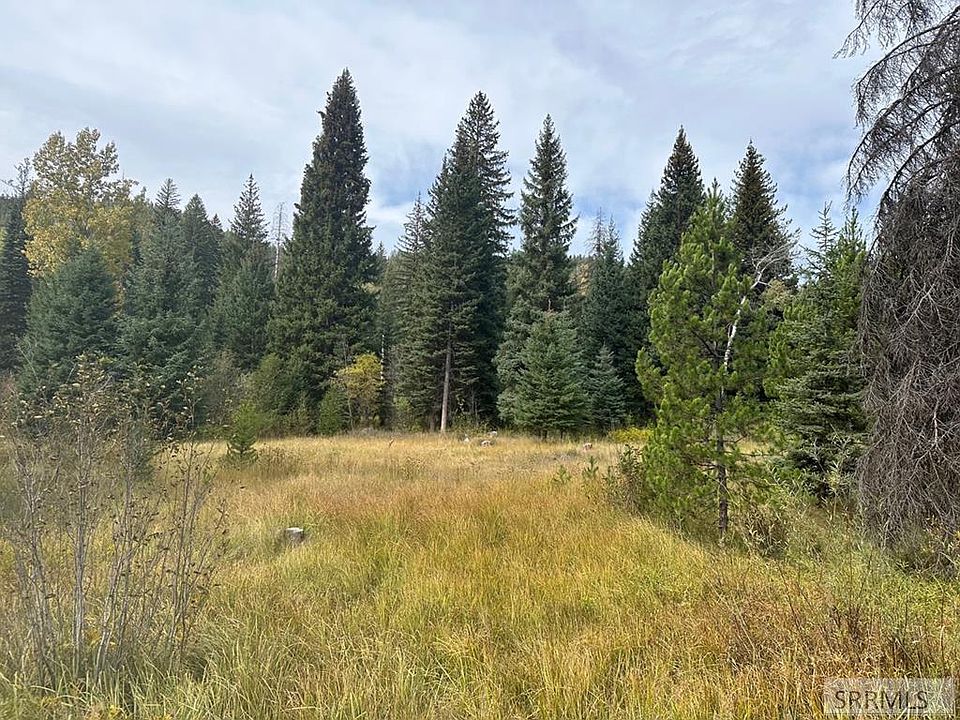 24A Kokopelli Dr, Gibbonsville, ID 83463 MLS 2158155 Zillow