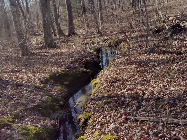 5 Timberwood Trce Lot 106, Monteagle, TN 37356