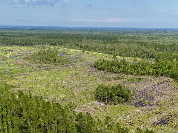 0 Off Dogwood Rd, Waynesville, GA 31566