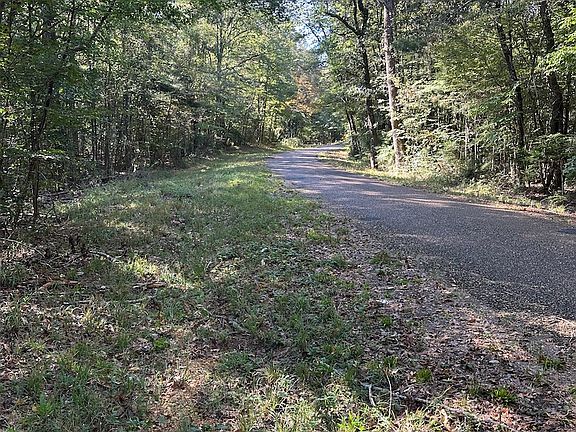 5th image of Cutrer Rd Lot Wp001