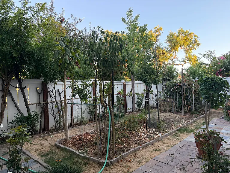 1682 Prima Dr — Photo 26
