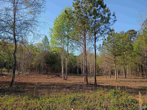 TRACT 1 County Road 176, Piedmont, AL 36272
