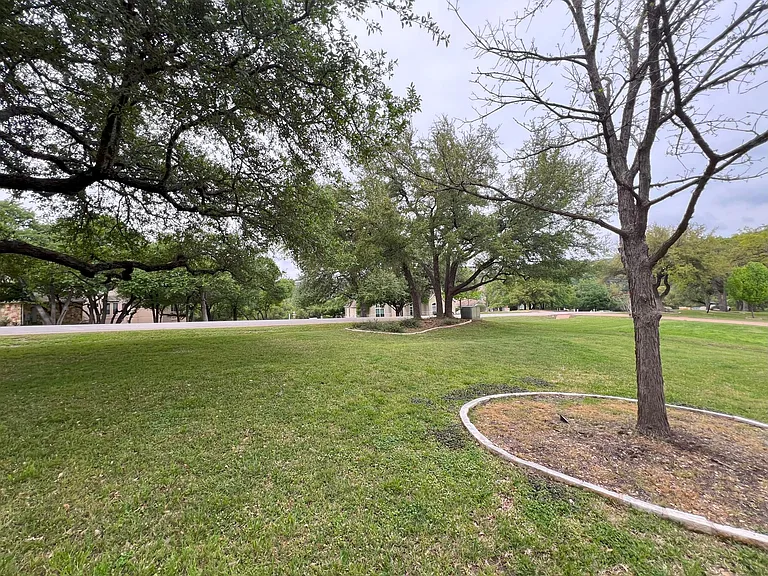 lush front yard