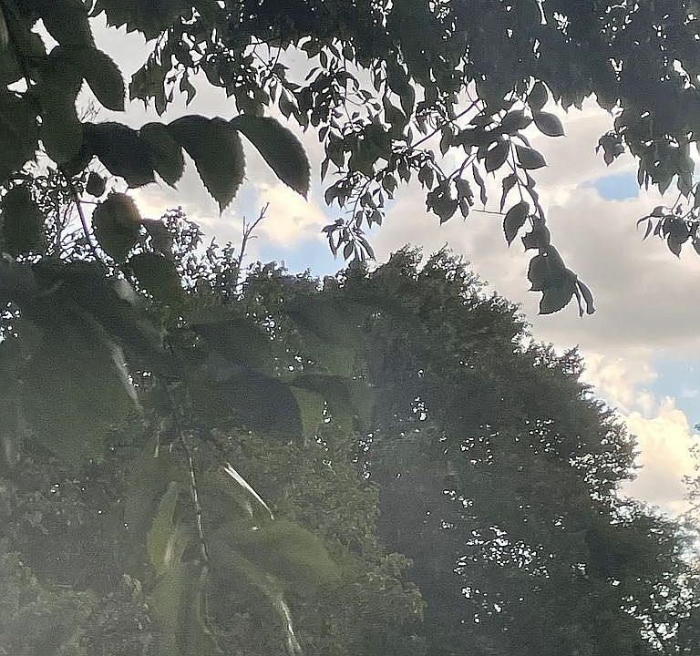 1st image of 2663 Wilhurt Ave
