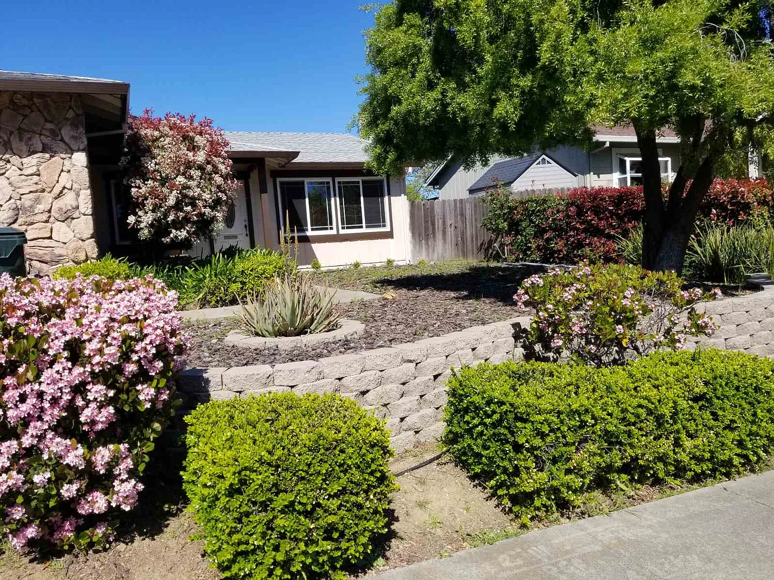 4 bed, 1536 sqft, $3,400 — Photo 2