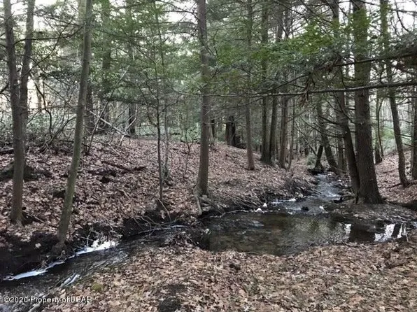 64 Adj Sandsprings Rd, Bear Creek Township, PA 18702
