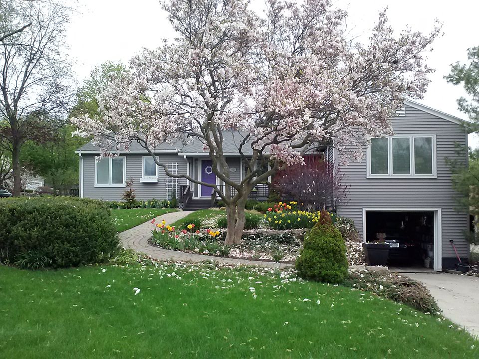 1st image of 3101 Hall St SE